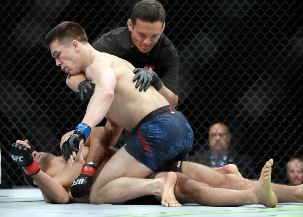 Competitive Fight The Ultimate Guide to the Sports Org with an Octagon: Understanding UFC ...