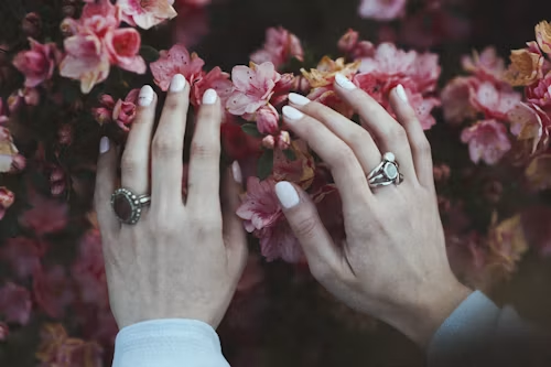 Two hands with white manicured nails gently touching pink cherry blossom flowers. Two hands with white manicured nails gently touching pink cherry blossom flowers.